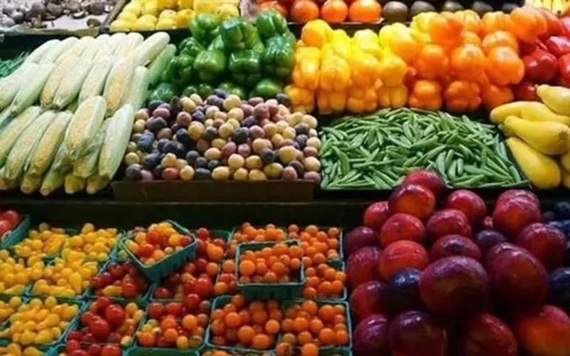 تغيرات مفاجئة في أسعار الطماطم تثير تساؤلات حول موعد تراجع تكلفتها مجددًا